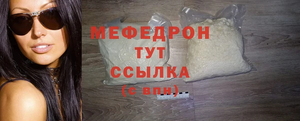 шишки Ельня