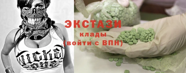 шишки Ельня