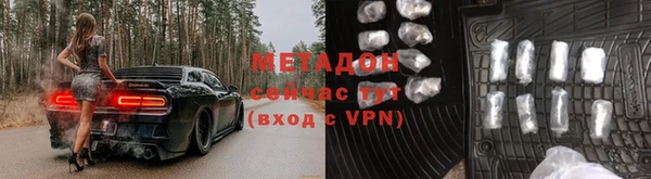шишки Ельня