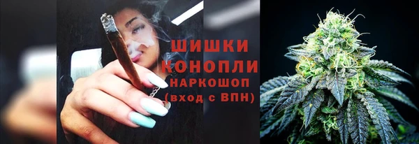 шишки Ельня