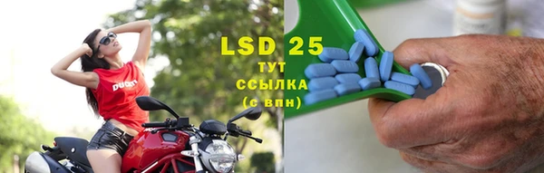 спиды Елизово