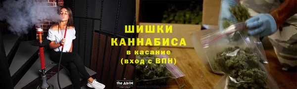 шишки Ельня