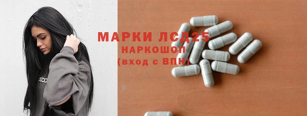 шишки Ельня