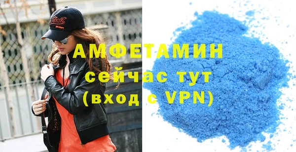 шишки Ельня