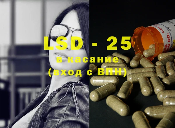 спиды Елизово