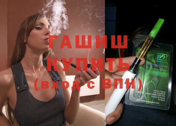шишки Ельня