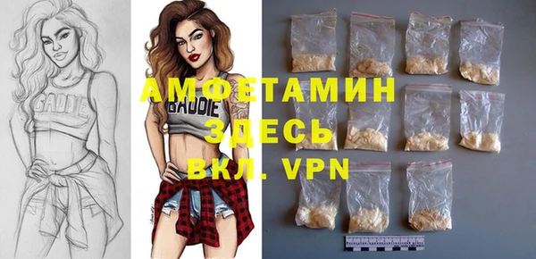 шишки Ельня