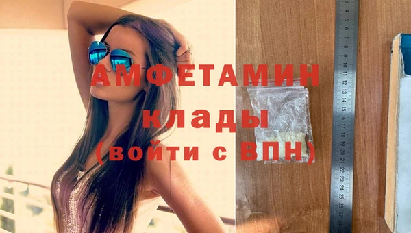 шишки Ельня