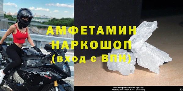 шишки Ельня