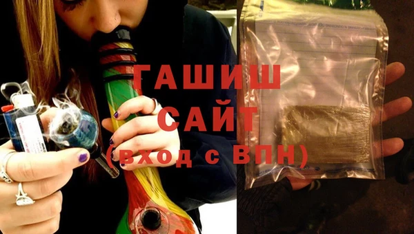 шишки Ельня