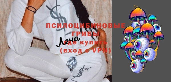 спиды Елизово