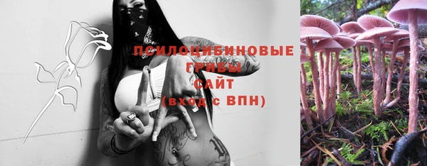 спиды Елизово
