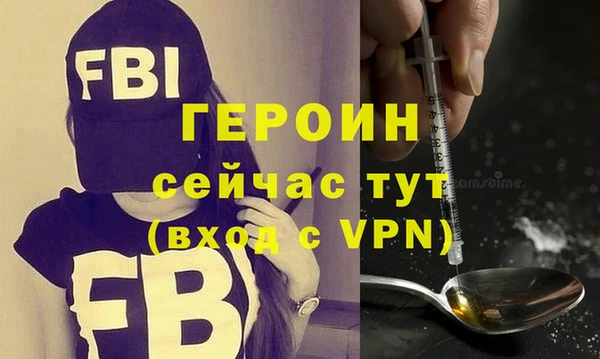 шишки Ельня